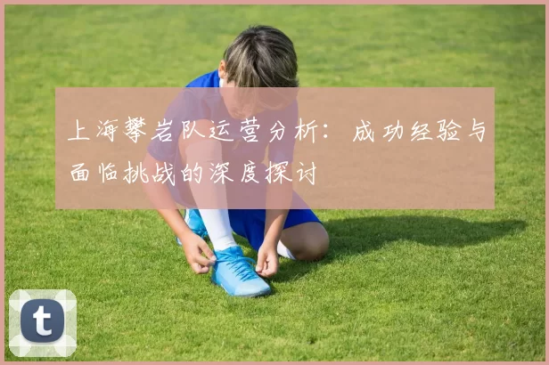 上海攀岩队运营分析：成功经验与面临挑战的深度探讨