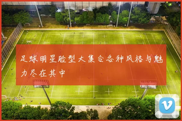足球明星脸型大集合各种风格与魅力尽在其中